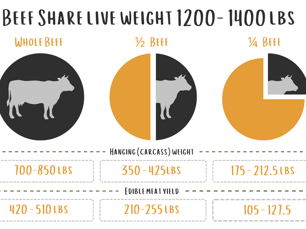 Whole Beef Share (Deposit)