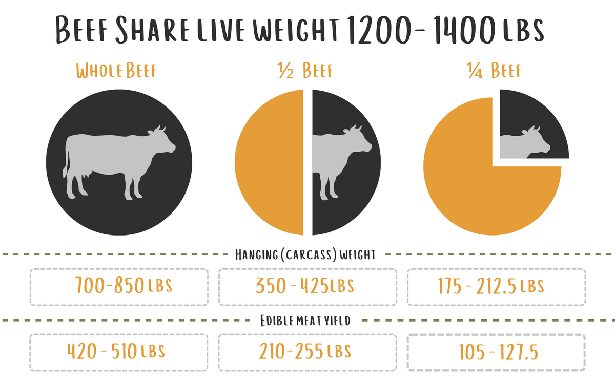 Whole Beef Share (Pay Over Time)