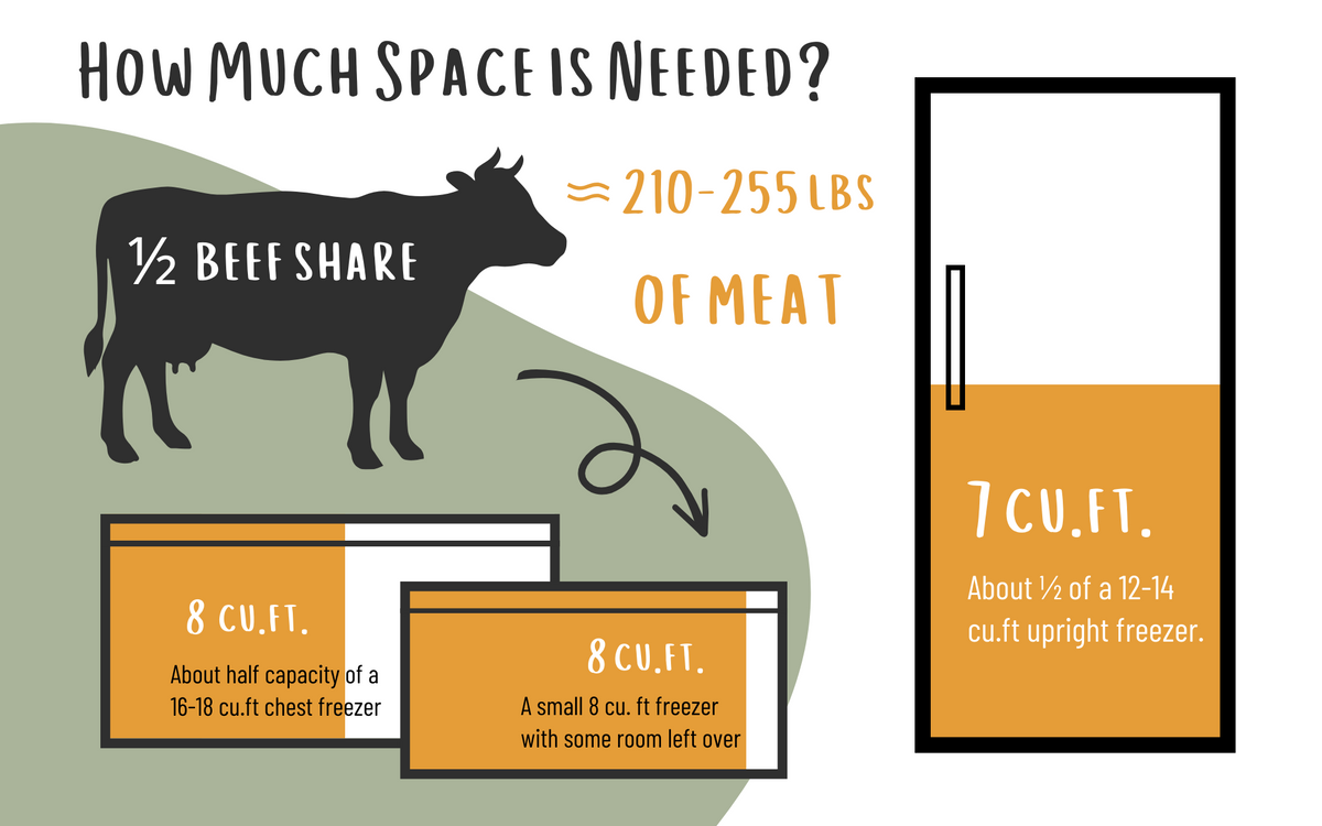 1/2 Beef Share (Pay Over Time)