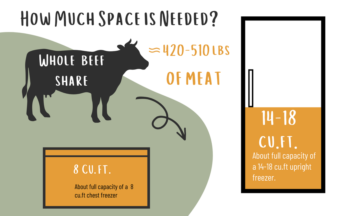 Whole Beef Share (Pay Over Time)