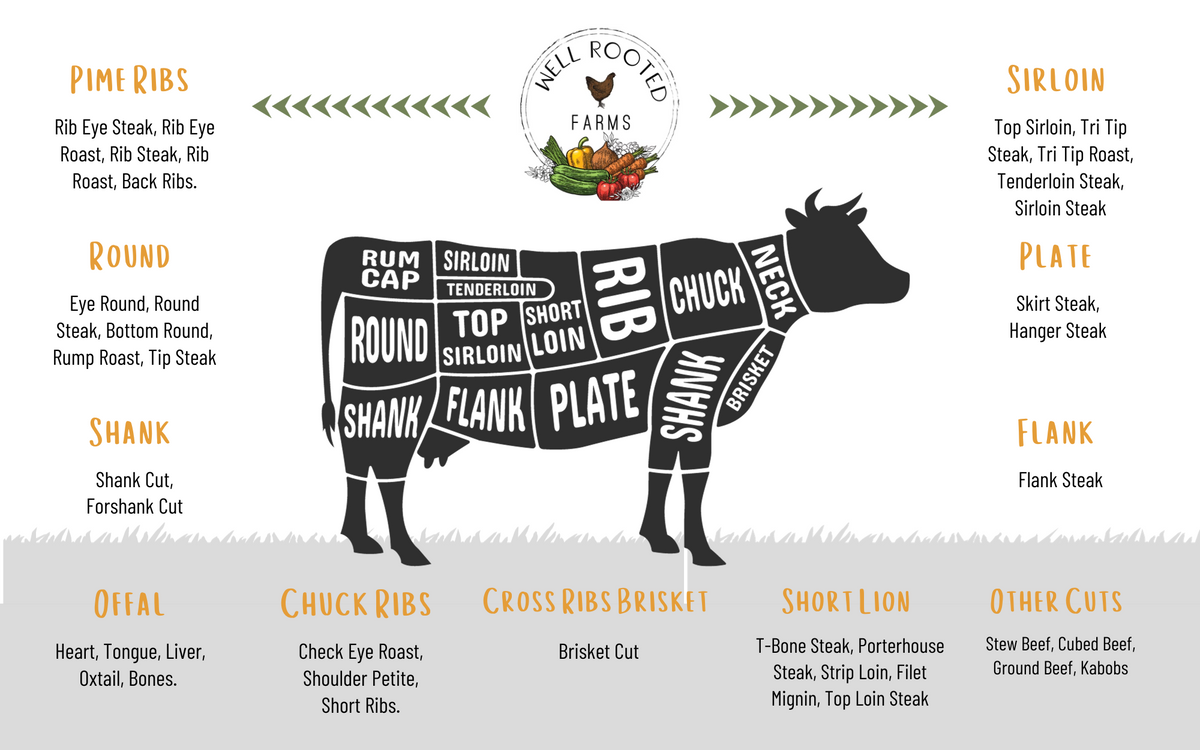 1/2 Beef Share (Pay Over Time)