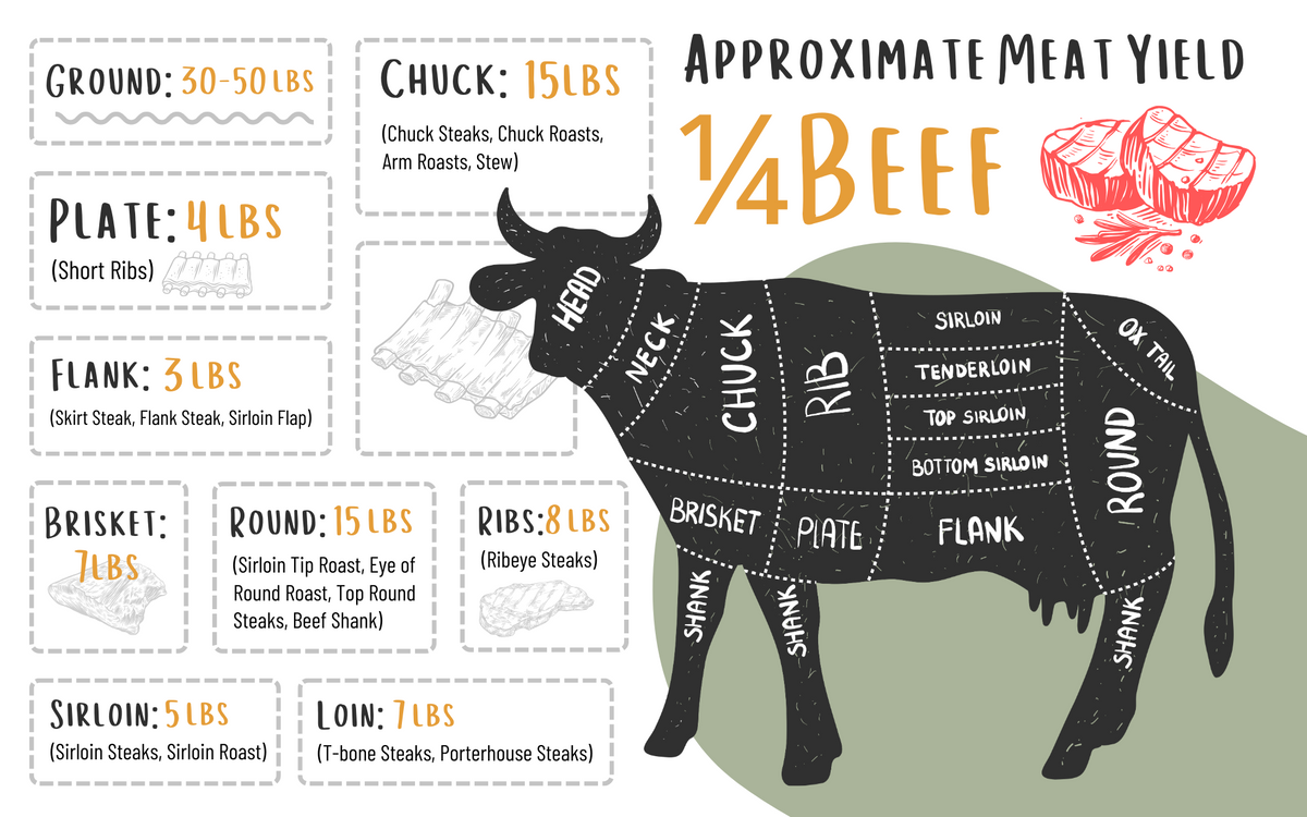 1/4 Beef Share (Pay Over Time)