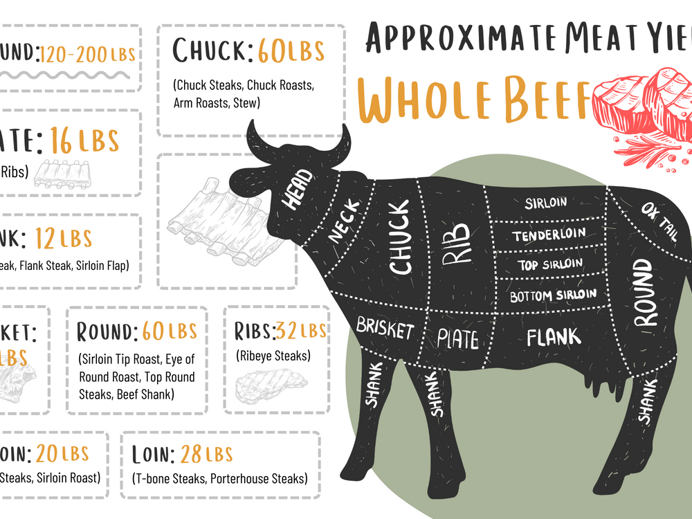 Whole Beef Share (Pay Over Time)