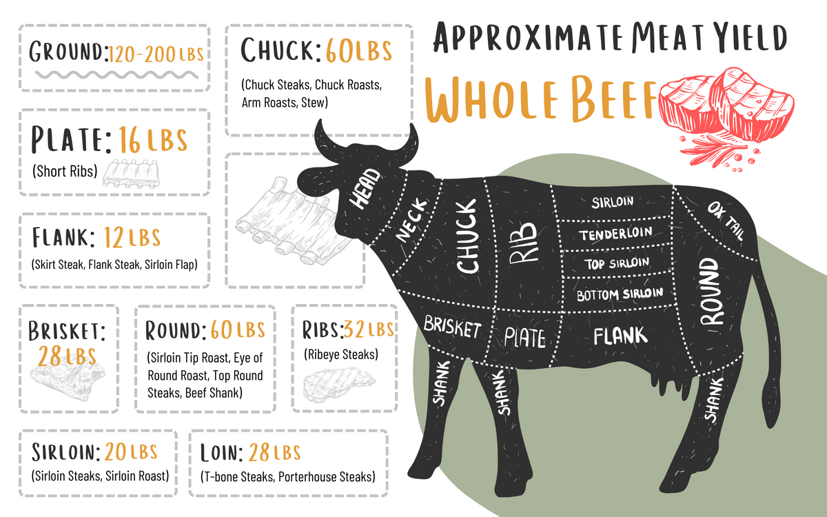 Whole Beef Share (Pay Over Time)